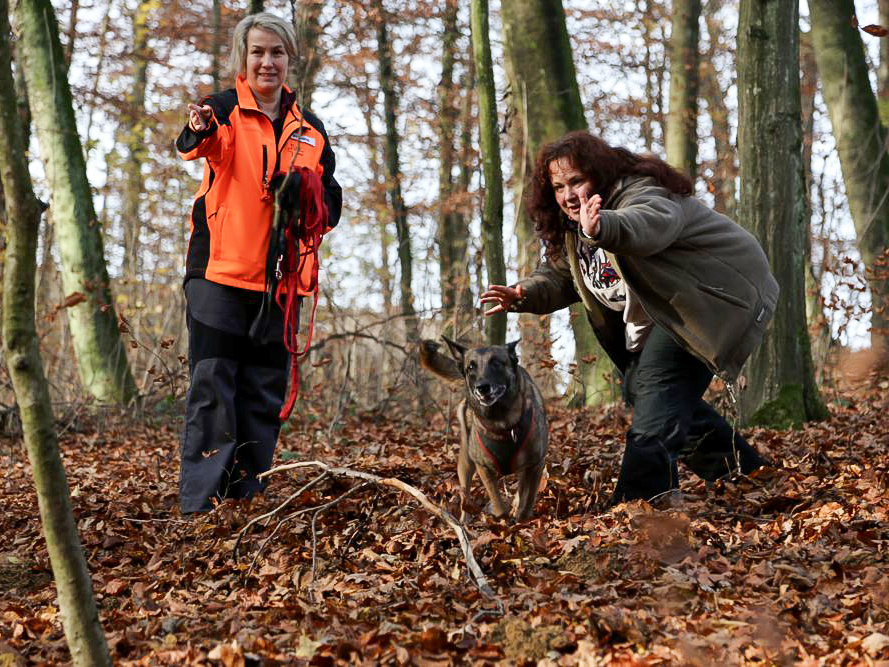 Schnuppertag REDOG Basel vom 12. November 2013