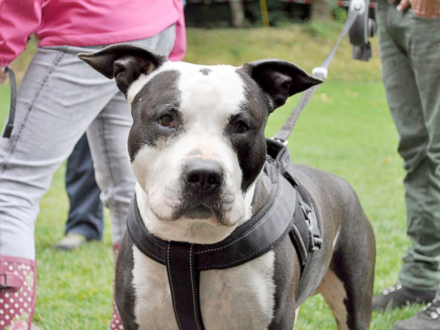 Brevet-Praxistag vom 29. Juni 2014