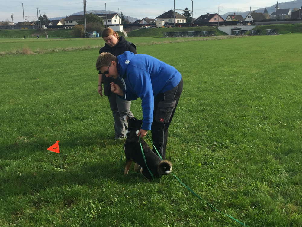 Fährtenkurs mit Melanie Krüger 24. Oktober 2015