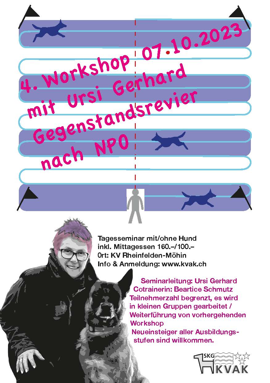 4. Workshop mit Ursi Gerhard: Gegenstandsrevier nach NPO