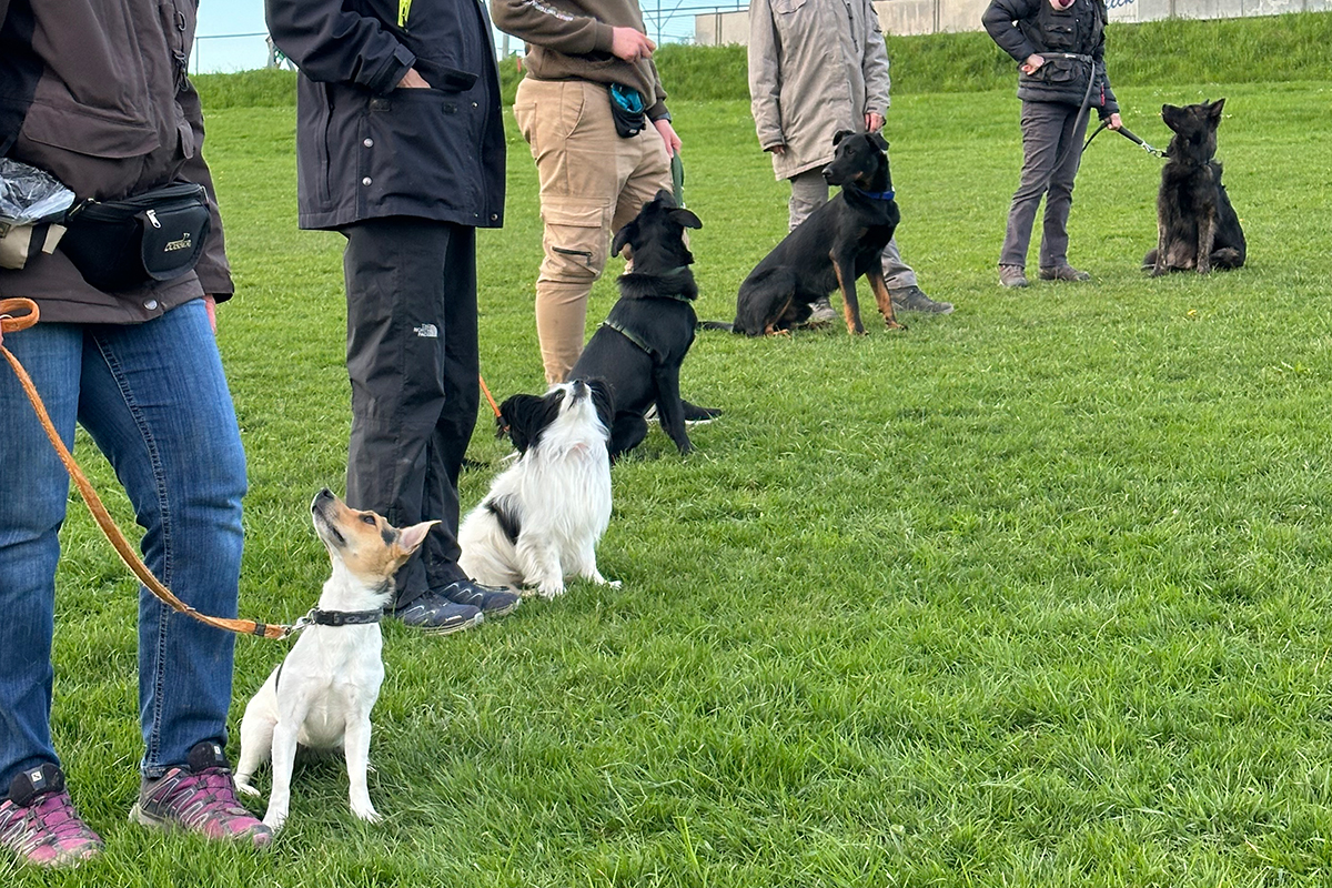 KVAK Kurse und Seminare