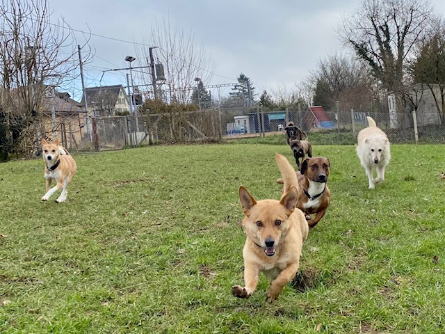 Alpha Energy Balance