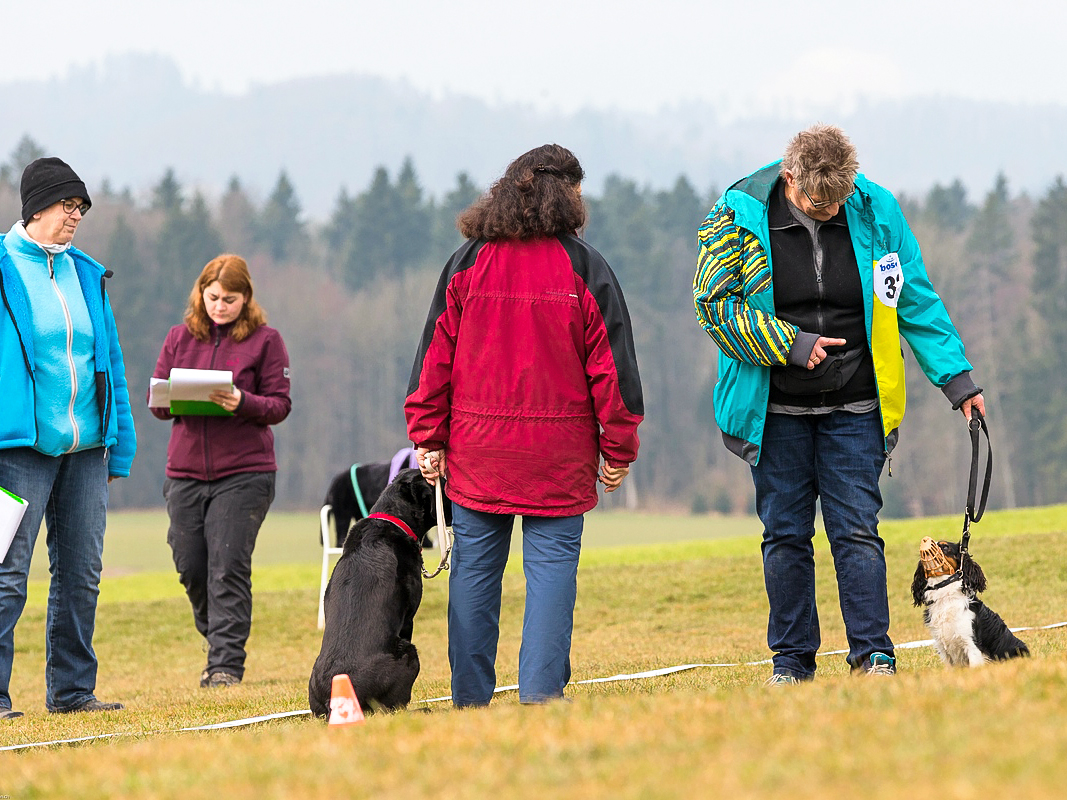 1. NHB Prüfung 18. März 2018