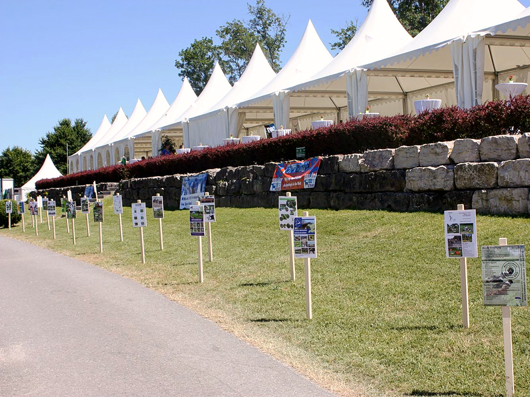 40-Jahr-Jubiläum KVAK, 29./30. Juni 2019