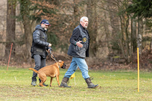 Schweizerischer Boxer-Club OG Aargau