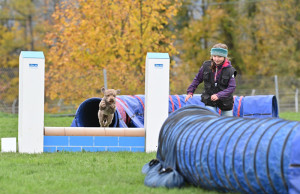 Kynologischer Verein Chriesiland