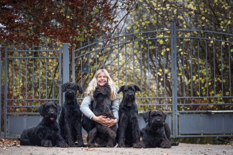 Hundeschule fit for fun