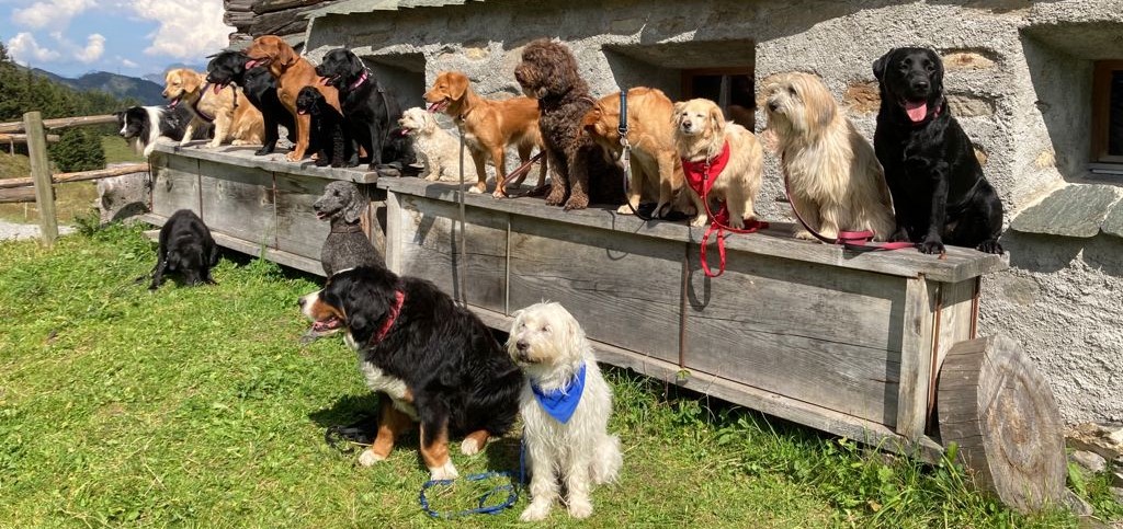 Hundesport Reusstal SKG