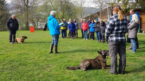 Schäferhunde-Club OG Reinach-Menziken