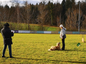 Kynologischer Verein Seetal
