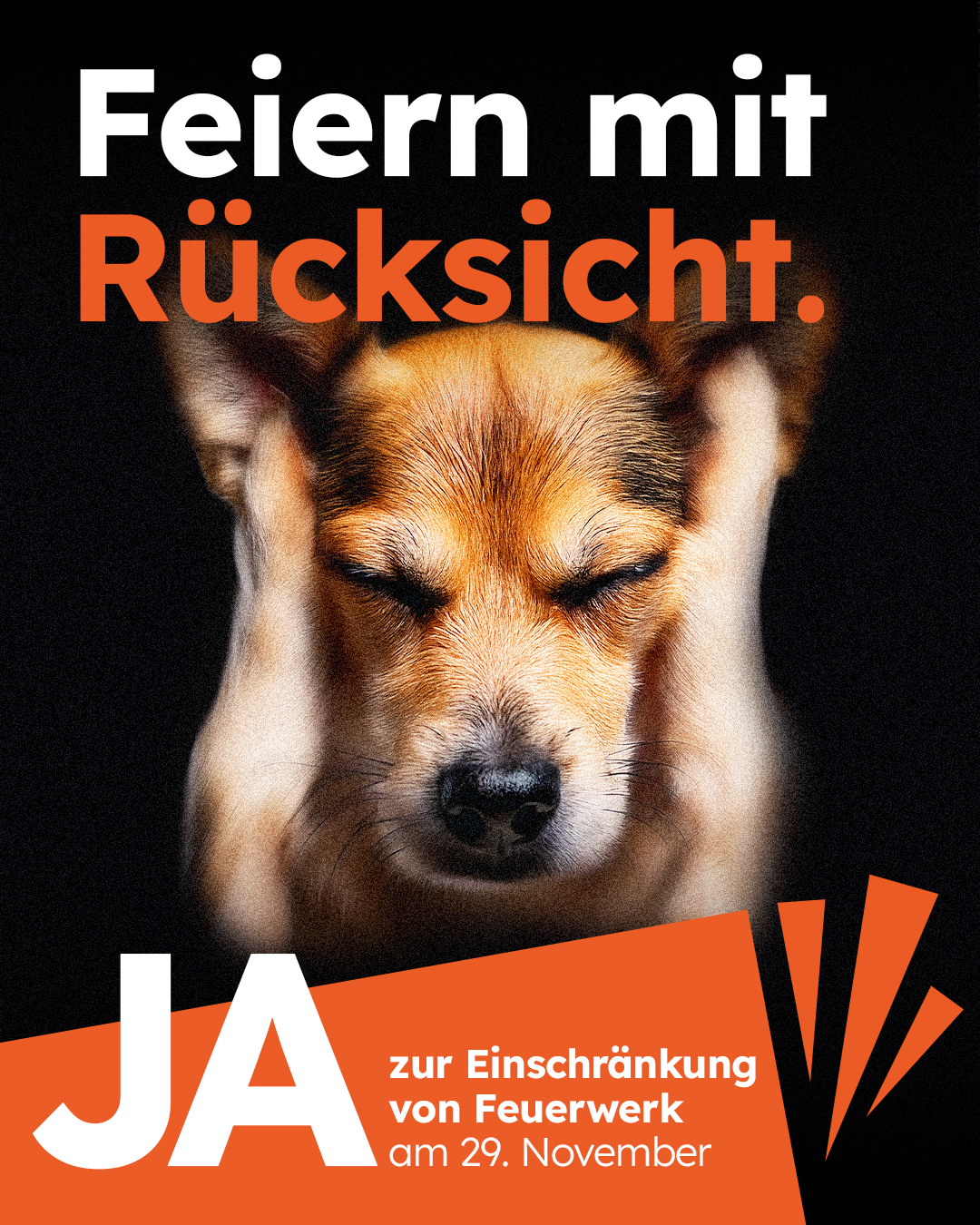 hund-1080x135_20261009-103654_1