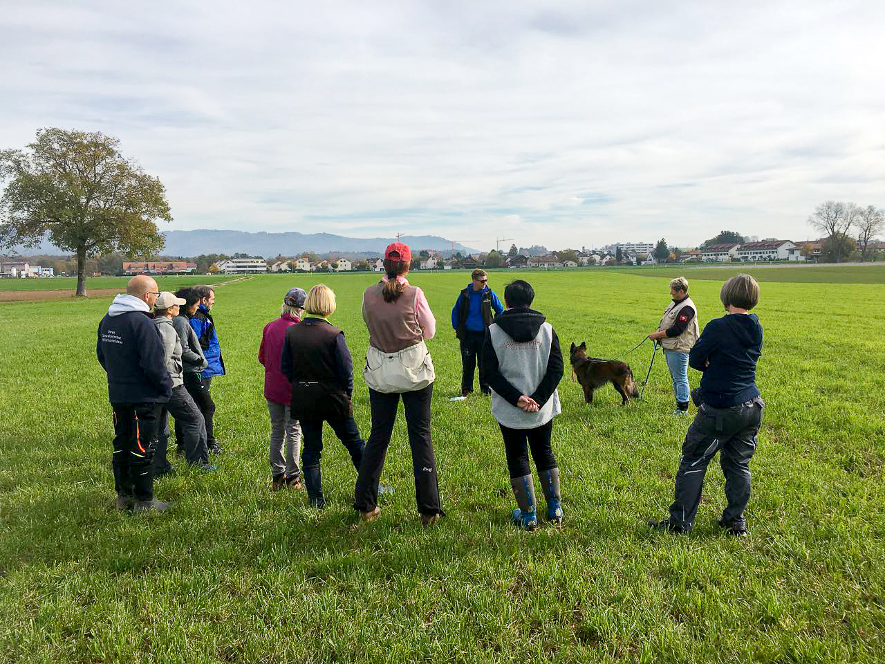 Fährtenkurs beim KV Rheinfelden-Möhlin
