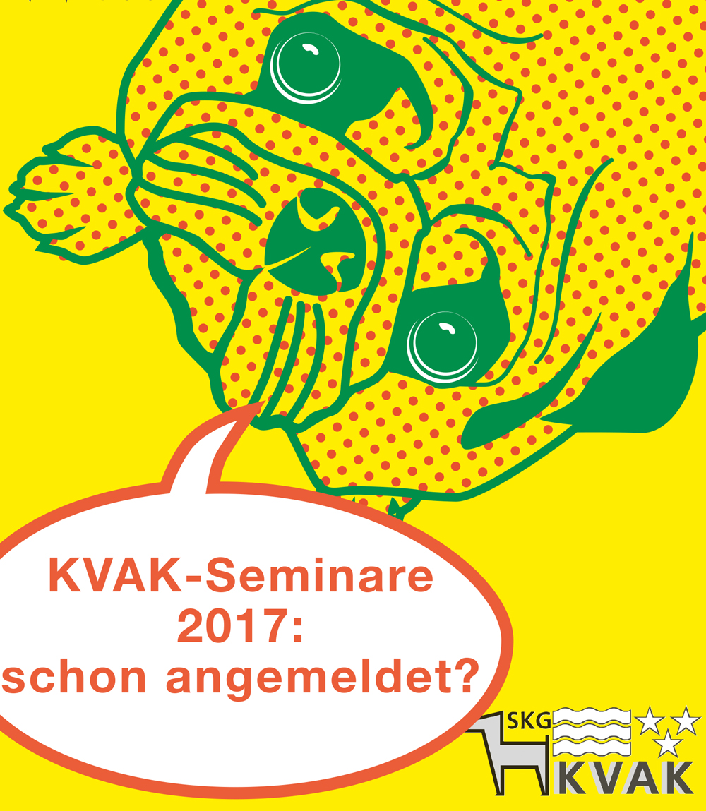 KVAK Kurse 2017