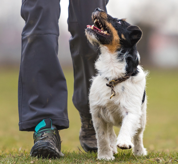 Gruppenleiterkurs SKG/KVAK