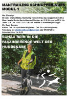 KV Seetal: ﻿Mantrailing Schnupperkurs Modul 1